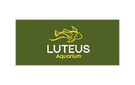 luteus